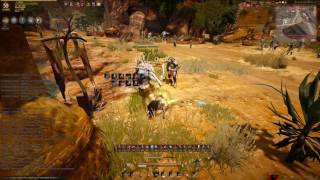 Black Desert | Valkyrie Bashims Sample