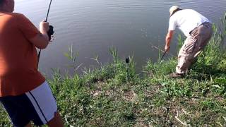 Angeln in kroatien carp