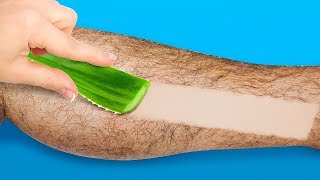 15 ЦЕЛЕБНЫХ НАТУРАЛЬНЫХ СРЕДСТВ С АЛОЭ ВЕРА