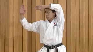 Ката Хейан Йондан (Heian Yondan)