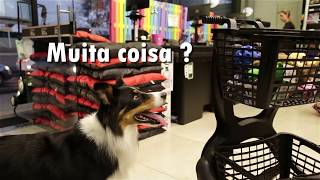 Tour pela loja da Nova Piracicaba