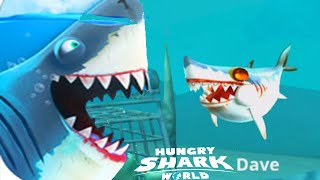 Hungry Shark World - New Baby Pet Shark Dave