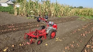 Автоматическая самокопалка. Уборка картошки 2017.