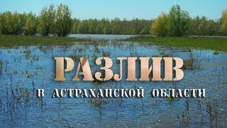 Документальный фильм - "Разлив" в Астраханской области 2012-13 год