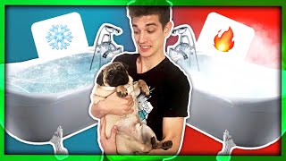 PAS KONTROLIRA MOJ DAN! ?| Magic Leon