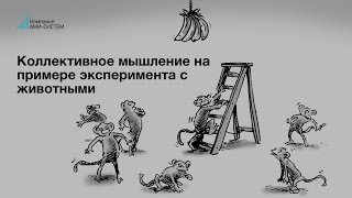 В.Бовыкин: коллективное мышление на примере животных