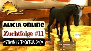 Alicia Online [AO]: ZUCHTFOLGE #11 | OSTWIND'S TOCHTER COCO ? | EIN RAPPE! | Let's Play [DEUTSCH]