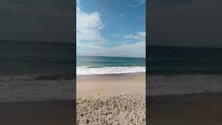 Конная прогулка по берегу океана. Флорианополис #Florianopolis