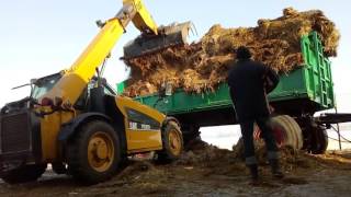Obornik 2017! Massey Ferguson 8120 & Fendt 720 Vario & Caterpillar TH 210