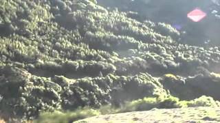Into the Manawatu Gorge