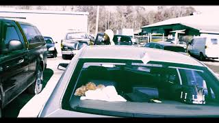 Magnolia heat - open never close (Official music video)
