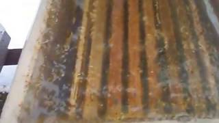 ОБЗОР ЗИМОВКИ ПЧЕЛ В УЛЬЯХ ИЗ КАМЫША