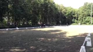 Eros (Armani x Havel) M1