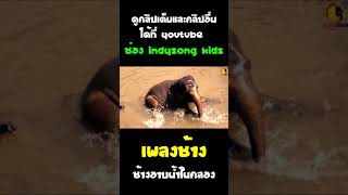 เพลงช้างอาบน้ำในคลอง #เพลงช้าง #shorts