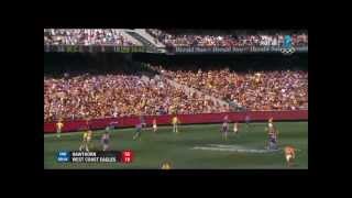 AFL 2015 Grand Final West Coast v Hawthorn Replay