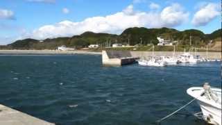 内海新港　海釣り　ポイント　南知多　知多半島　漁港　魚釣り