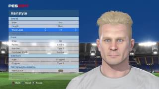 PES 2017 FACES BERGKAMP 2.0