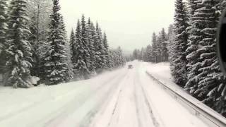 Дальнобой по Скандинавии.A road to Trondheim.Norway.Part 1