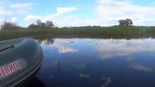 Мотор-болотоход MSC (4)