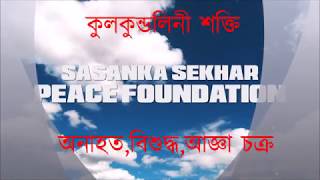 কুলকুণ্ডলিনী শক্তি (তিন) অনাহত, বিশুদ্ধ, আজ্ঞা চক্র SASANKA SEKHAR PEACE FOUNDATION