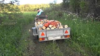 вывоз дров из леса на квадроцикле хонда 450 ес