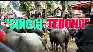 Singgi' tedong/Ma'pasa Tedong Adat Toraja Alm Sampe Rante, Lembang Karre Penanian