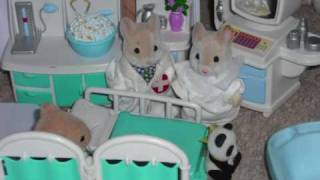 Sylvanian Families, Little panda gets hurt
