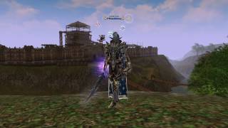 Lineage 2 О  SP  умениях и   немного тактики