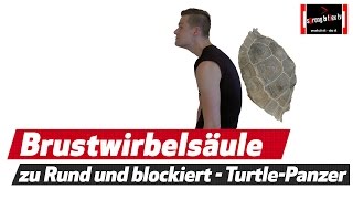 Brustwirbelsäule - Körperhaltung - BWS Blockade - TURTLEPANZER