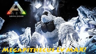 Ark Survival Evolved MODS #EP36   Domando Megapithecus lv 240!