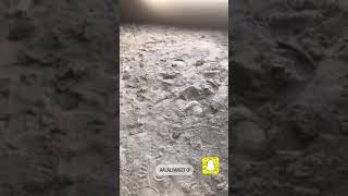 تركيب ابواب الخشب و دهانات و تجاويف دورات المياة