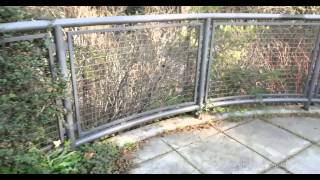 ground rails 4k