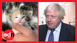 Did Boris Lie AGAIN About Afghan Animal Airlift?