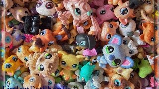 моя коллекция littlest petshop + фортуна