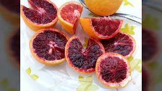 Citrus sinensis Moro.