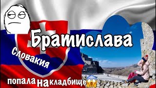 Достопримечательности Братиславы, как добраться из аэропорта в центр города,  цены на продукты