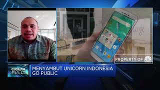 Pandu Sjahrir Soal Rencana IPO Perusahaan Unicorn