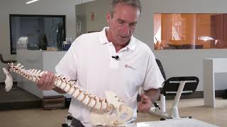 Was ist Arthrose genau