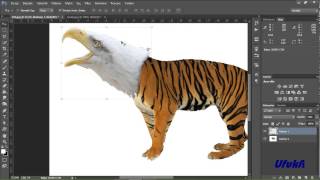 Photoshop Fotoğraf Montajı / Photo Montage