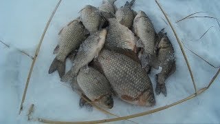 ловля карася зимой на мормышку