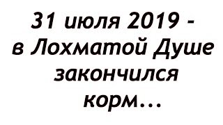 Раздали  последний корм...
