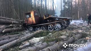 Обычный рабочий день в лесу. ТДТ-55, КАМАЗ ЛЕСОВОЗ.