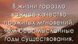 Афоризмы Сэнсэя