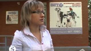 Ветклиники Запорожья