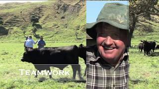 PGG Wrightson Stud Tour - EP 31- Longdown Stud