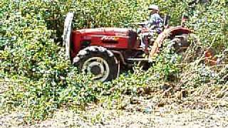 destroçador a limpar terreno