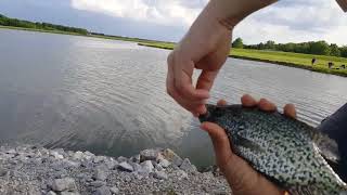 El mejor lugar Para PESCAR Crappie