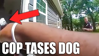 Police Tase Innocent Dog After Trespassing on Wrong Property