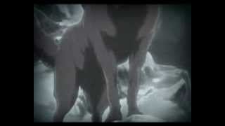 Wolf 's rain - Битва волков