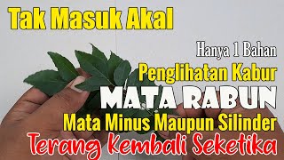 SETELAH NONTON VIDEO INI, CARI TANAMAN INI SAMPAI DAPAT
